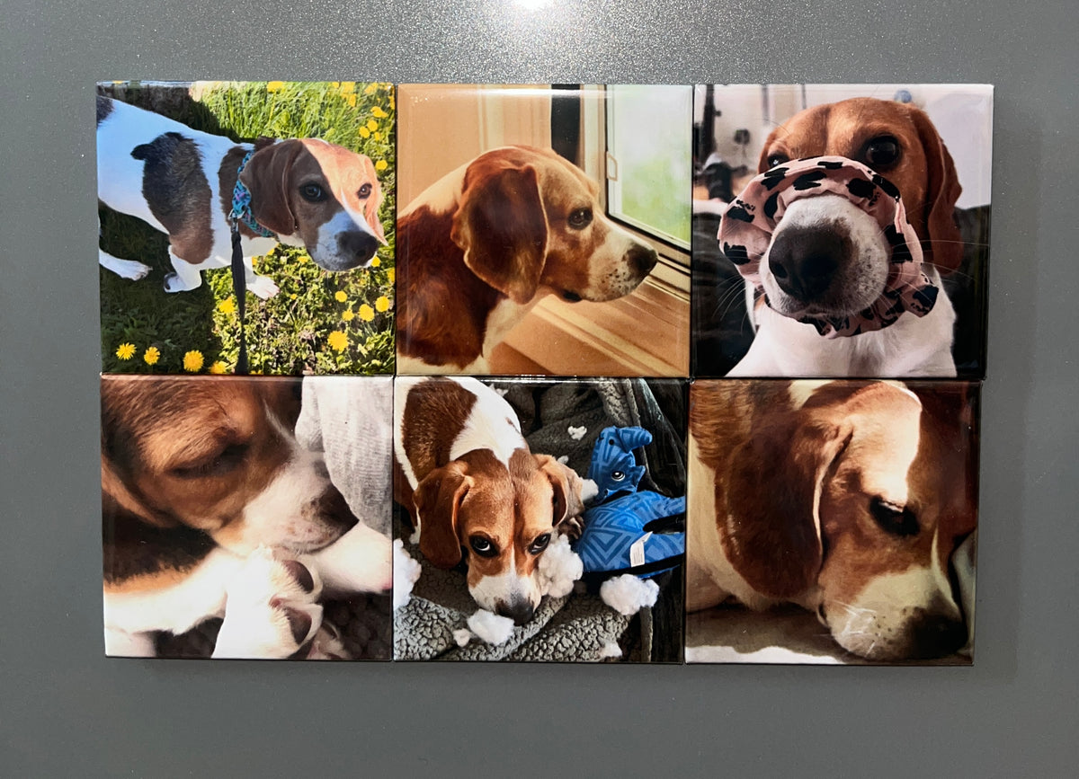2" x  2" Square Photo Magnets