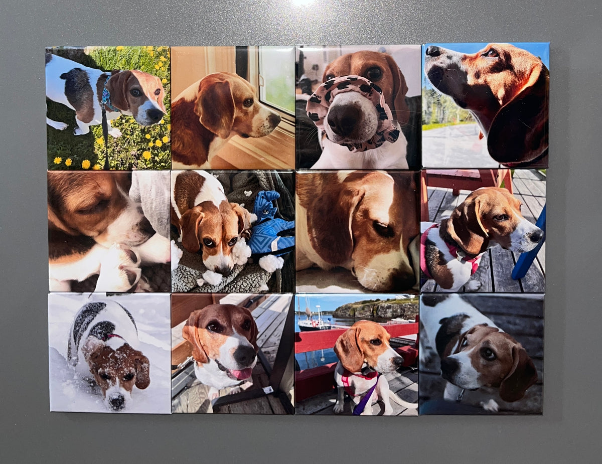 2" x  2" Square Photo Magnets