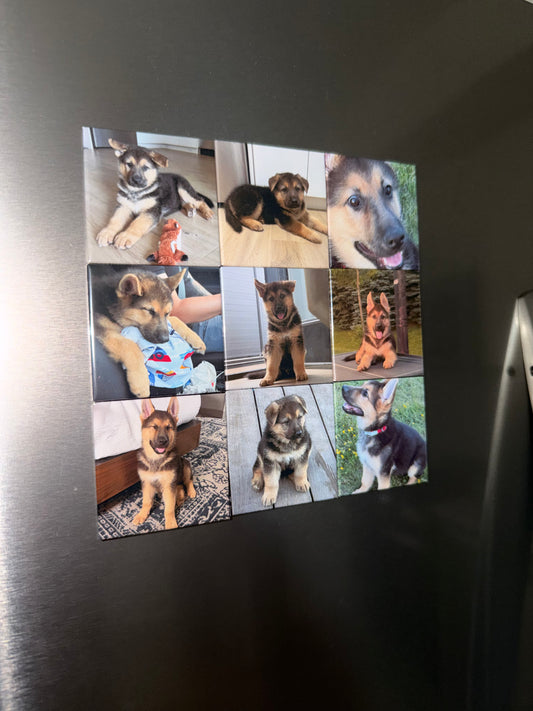 2" x  2" Square Photo Magnets